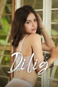 فيلم Dilig 2024 مترجم للكبار فقط اون لاين