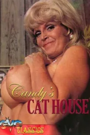 فيلم The Candy Store 1972 للكبار فقط