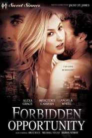 فيلم Forbidden Opportunity 2017 للكبار فقط اون لاين