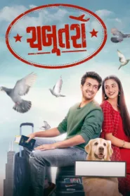 فيلم Chabutro 2022 مترجم اون لاين