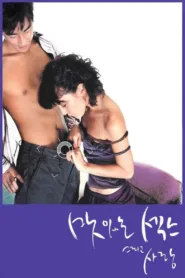 فيلم The Sweet Sex and Love 2003 للكبار فقط اون لاين