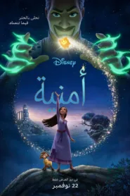 فيلم Wish 2023 مترجم اون لاين