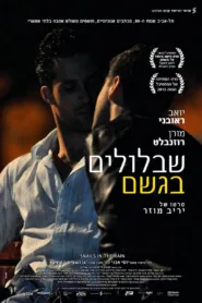 فيلم Snails in the Rain 2013 مترجم اون لاين